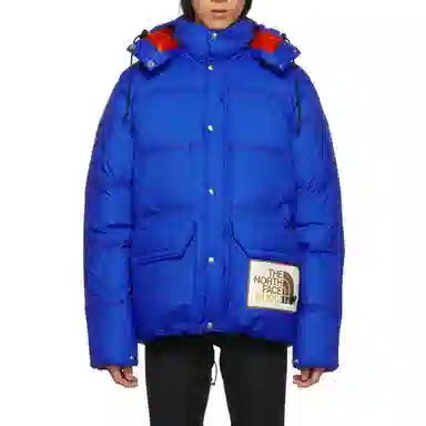 Gucci Logo Print Detachable Hood Down Jacket