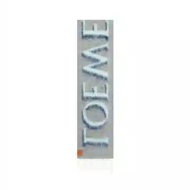 LOEWE Scarf
