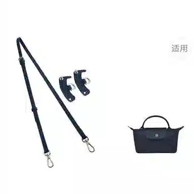 Longchamp Mini Bag