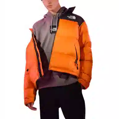 THE NORTH FACE FW22 1996 Nuptse Logo700