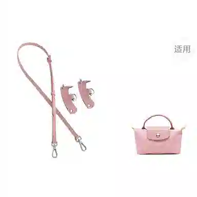 Longchamp Mini Bag