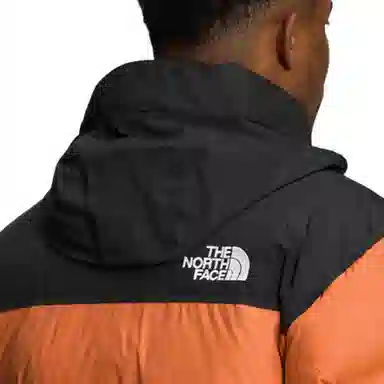 THE NORTH FACE FW22 1996 Nuptse Logo700