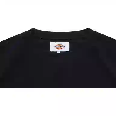 Dickies SS22 T
