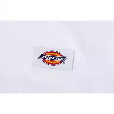 Dickies SS22 T