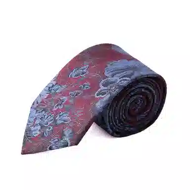 红豆 时尚经典款休闲随性洒脱独特印花 涤纶 领带 男款