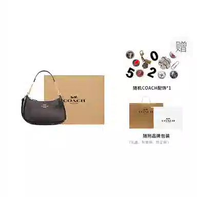 COACH Teri 25 Brown Black