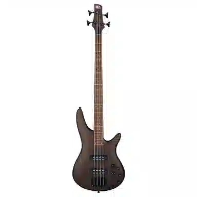 Ibanez SRBass SR300E(4SR305E(5)
