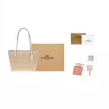 Coach Fiona 24 Tote Bag Small Beige