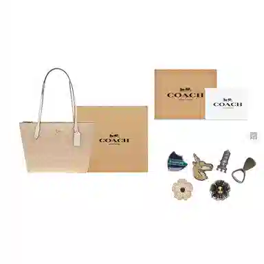 Coach Fiona 24 Tote Bag Small Beige