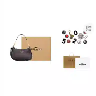 COACH Teri 25 Brown Black