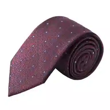 红豆 高档时尚优质成功人士商务洽谈正装百搭 涤纶 领带 男款