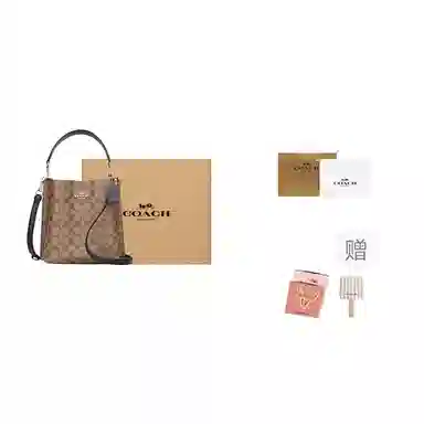 COACH Mollie Bucket 22