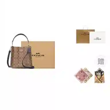 COACH Mollie Bucket 22