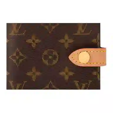 LOUIS VUITTON Monogram