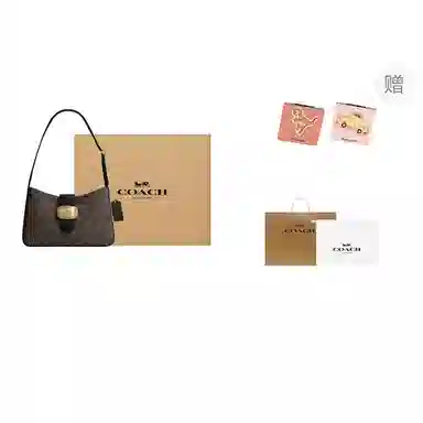 COACH Eliza Shoulder Bag 25