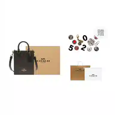 COACH North/South 17 Black