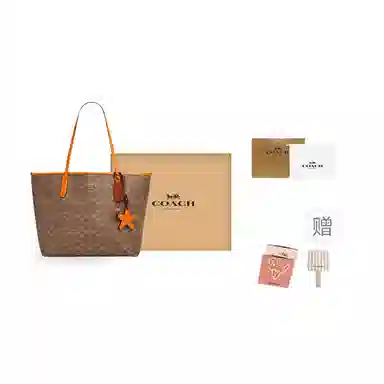 COACH Canvas Tote Bag Brown