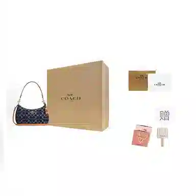 COACH Teri 24 Denim Blue