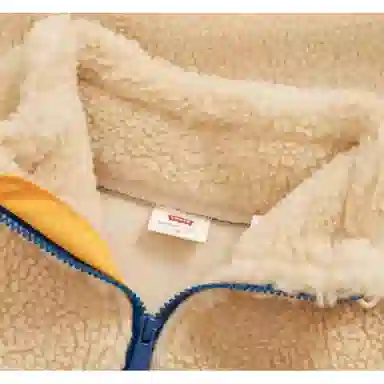 Levis FW23 Colorblock Jacket