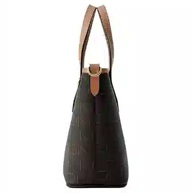 FION Classics Tote
