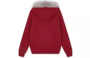 BONELESS Embroidered Hooded Cardigan