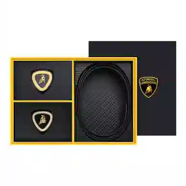 Automobili Lamborghini