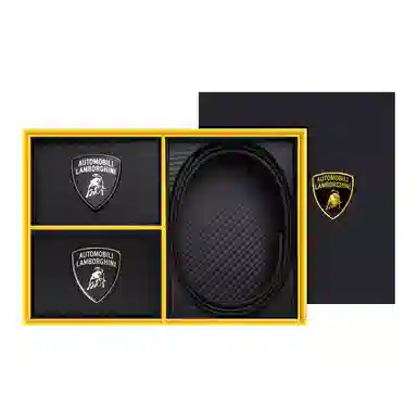 Automobili Lamborghini