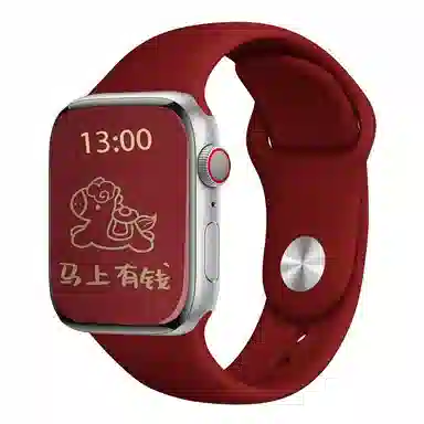 ZS AppleWatch 38-45mm AP4002