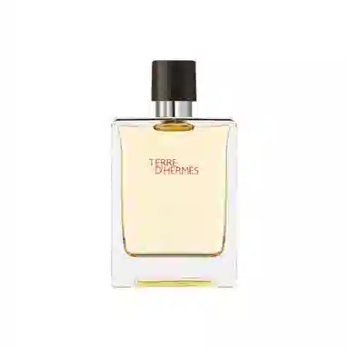 Hermes Terre d'Hermes EDT
