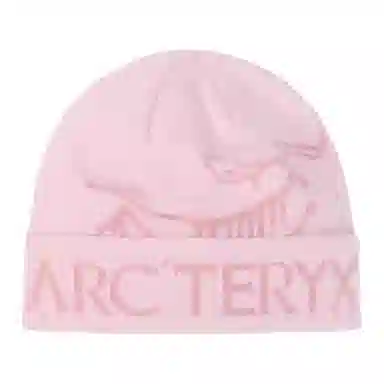Arcteryx Beanie