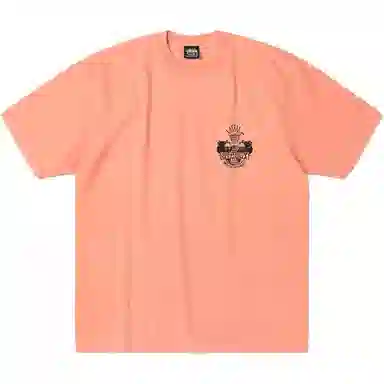 Stussy FW25 FW25 BUILT TO LAST TEE PIGMENT DYED T