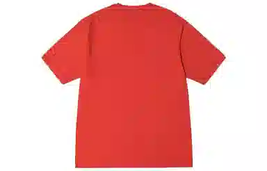 Stussy Block Sport Pigment Dyed Tee