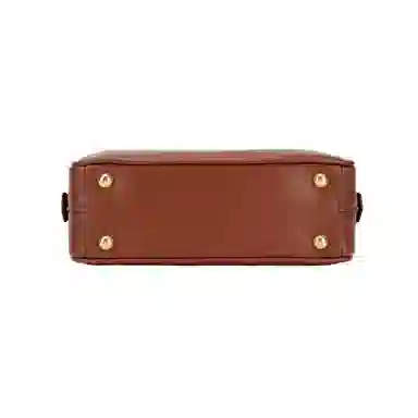 Miu Miu Arcadie Rust