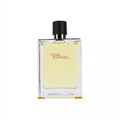 Hermes Terre d'Hermes EDT