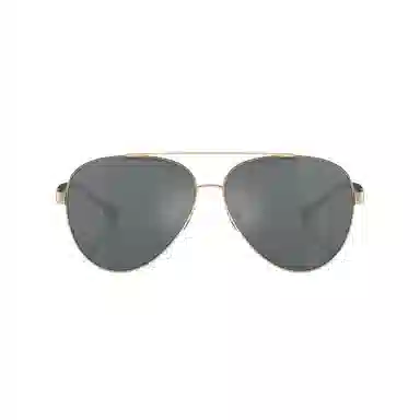 Emporio Armani Classic Aviator Sunglasses