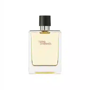 Hermes Terre d'Hermes EDT