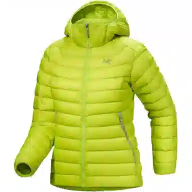 Arcteryx Cerium LT 850logo