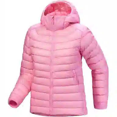 Arcteryx Cerium LT 850logo