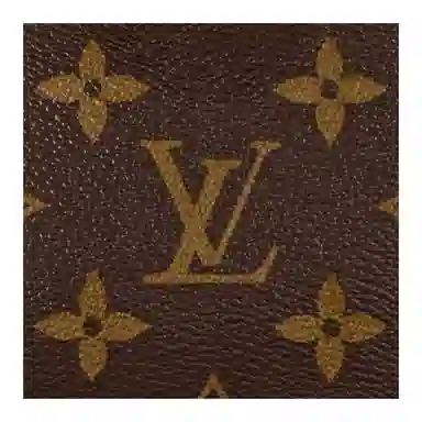 Louis Vuitton Speedy Nano