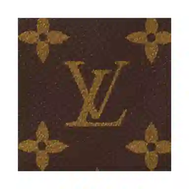Louis Vuitton Monogram Key Pouch
