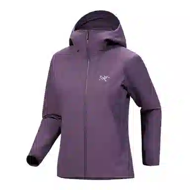 Arcteryx Gamma Hoody