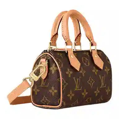 Louis Vuitton Speedy Nano