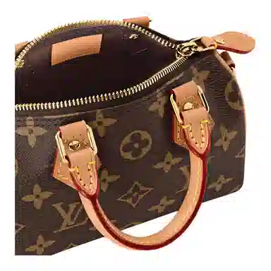 Louis Vuitton Speedy Nano