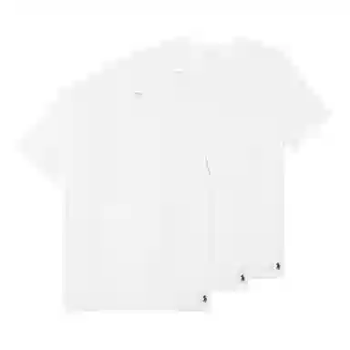 Polo Ralph LaurenT SS25Logo 3