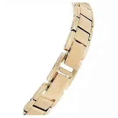 Anne Klein Quartz Watch 24mm Black Dial