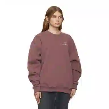 Arcteryx EMBLEM FLEECE Logo