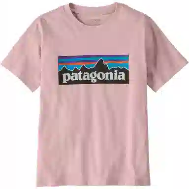 patagonia P-6 Logo T-Shirt T