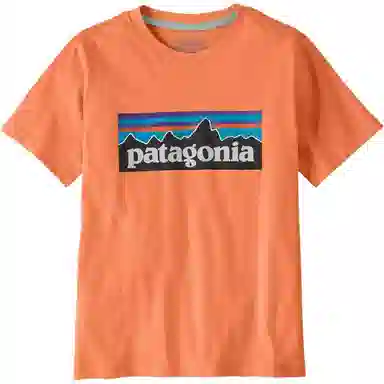 patagonia P-6 Logo T-Shirt T