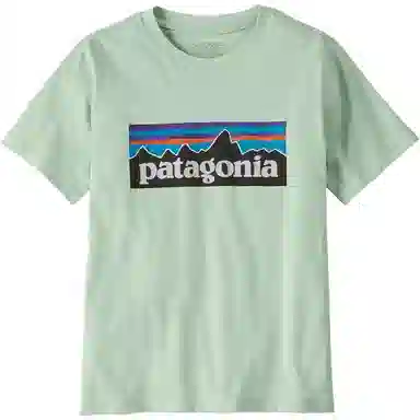 patagonia P-6 Logo T-Shirt T