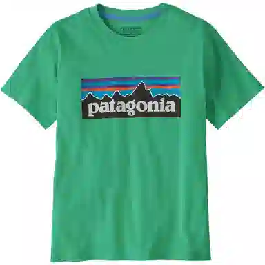patagonia P-6 Logo T-Shirt T